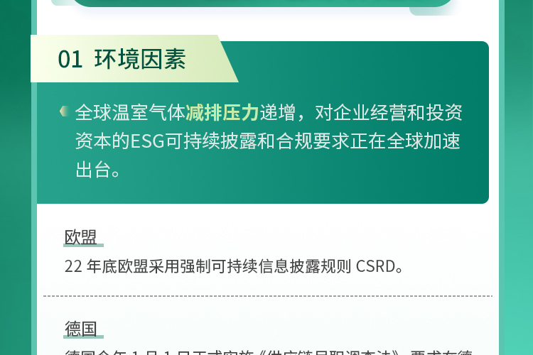 crop,y_1000,h_500